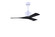 Nan 42'' Ceiling Fan in Matte White (101|NKMWHBK42)