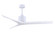 Mollywood 60'' Ceiling Fan in Matte White (101|MWMWHMWH60)