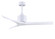 Mollywood 52'' Ceiling Fan in Matte White (101|MWMWHMWH52)