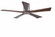 Irene-5HLK 52'' Ceiling Fan in Brushed Nickel (101|IR5HLKBNWA52)