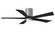 Irene-5HLK 52'' Ceiling Fan in Brushed Nickel (101|IR5HLKBNBK52)