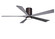 Irene-5HLK 60'' Ceiling Fan in Brushed Bronze (101|IR5HLKBBBW60)