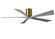 Irene-5H 60'' Ceiling Fan in Brushed Brass (101|IR5HBRBRBW60)