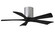 Irene-5H 42'' Ceiling Fan in Brushed Nickel (101|IR5HBNBK42)