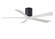 Irene-5H 52'' Ceiling Fan in Matte Black (101|IR5HBKMWH52)