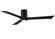 Irene-3HLK 60'' Ceiling Fan in Matte Black (101|IR3HLKBKBK60)