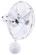 Bruna Parede 19''Ceiling Fan in Gloss White (101|BPWHMTL)