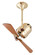 Bianca Direcional 16'' Ceiling Fan in Brushed Brass (101|BDBRBRWD)