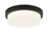 Durham LED Ceiling Mount in Matte Black (423|M15901MB)