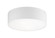 SNARE Two Light Flush Mount in White (423|M12702WH)