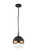 Torino One Light Pendant in Aged Gold Brass (423|C61801AGCL)