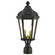 Morgan Two Light Outdoor Post Lantern in Bronze w/ Antique Gold Cluster (107|7618807)