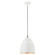 Arlington One Light Pendant in White w/ Brushed Nickels (107|4910903)