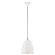 Arlington One Light Pendant in White w/ Brushed Nickels (107|4910803)