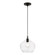 Aldrich One Light Pendant in Black w/Brushed Nickel (107|4909304)