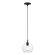 Aldrich One Light Pendant in Black w/Brushed Nickel (107|4908804)