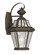 Georgetown One Light Outdoor Wall Lantern in Bronze (107|216107)