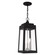 Oslo Three Light Outdoor Pendant in Black w/ Brushed Nickels (107|2085704)