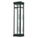 Hopewell Two Light Outdoor Wall Lantern in Black w/ Brushed Nickel Cluster and Polished Chrome Stainless Steel (107|2070604)