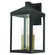 Nyack Three Light Outdoor Wall Lantern in Bronze w/ Antique Brass Cluster (107|2058507)