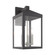 Nyack Three Light Outdoor Wall Lantern in Scandinavian Gray w/ Brushed Nickels (107|2058476)