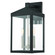 Nyack Three Light Outdoor Wall Lantern in Black w/ Brushed Nickel Cluster (107|2058404)