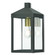 Nyack One Light Outdoor Wall Lantern in Bronze w/ Antique Brass Cluster and Polished Chrome Stainless Steel (107|2058207)