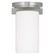 Astoria One Light Ceiling Mount in Brushed Nickel (107|132091)