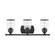 Lawrenceville Three Light Vanity in Black (107|1051304)