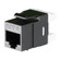 adorne Cat 6 RJ45 Data Insert in Graphite (246|AC6RJ45G1)