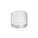 Mousinni LED Flush Mount in White (347|FM11410WH)