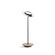 Royyo LED Desk Lamp in Matte Black/White Oak (240|RYOSWMTBWOKDSK)