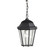 Madison One Light Outdoor Pendant in Black (12|9805BK)