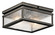 Manningham Two Light Outdoor Ceiling Mount in Olde Bronze (12|49389OZ)