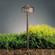 One Light Path & Spread in Textured Architectural Bronze (12|15318AZT)