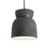 Radiance One Light Pendant in Gloss Grey (102|CER6515GRYDBRZBKCD)