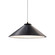 Radiance One Light Pendant in Carbon - Matte Black (102|CER6240CRBDBRZWTCD)