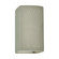 Ambiance LED Wall Sconce in Celadon Green Crackle (102|CER5925WCKC)