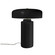 Portable Two Light Portable in Carbon - Matte Black (102|CER2525CRB)