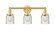 Edison Three Light Bath Vanity in Satin Gold (405|6163WSGG54)