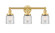 Edison Three Light Bath Vanity in Satin Gold (405|6163WSGG52)