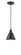 Edison One Light Mini Pendant in Oil Rubbed Bronze (405|6161POBM8OB)