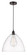 Edison One Light Pendant in Oil Rubbed Bronze (405|6161POBGBD162)
