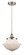 Edison One Light Mini Pendant in Satin Nickel (405|6161PHSNG541)