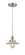 Edison LED Mini Pendant in Brushed Satin Nickel (405|6161PHSNG2LED)