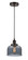 Edison One Light Mini Pendant in Oil Rubbed Bronze (405|6161PHOBG73)