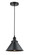 Edison One Light Mini Pendant in Matte Black (405|6161PHBKM10BK)