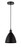 Edison One Light Mini Pendant in Matte Black (405|6161PBKMBD75BK)