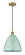 Edison One Light Mini Pendant in Brushed Brass (405|6161PBBMBD12SF)