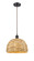 Downtown Urban One Light Pendant in Oil Rubbed Bronze (405|5161POBRBD12NAT)